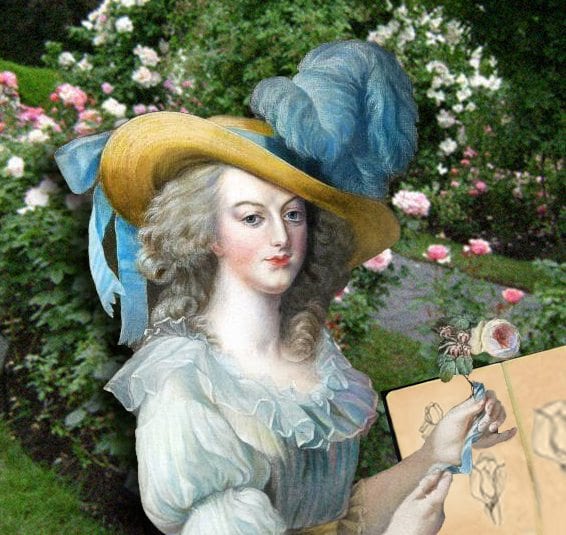 Marie Antoinette Garden
